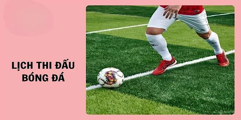 Tính năng độc đáo trong lịch thi đấu Cakhia