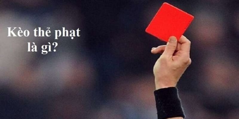 Những điều người tham gia cần chú ý khi tìm hiểu về tỷ lệ thẻ phạt